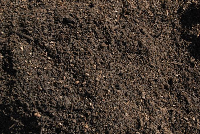 Cara membasmi kuman tanah untuk anak benih