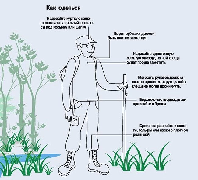 Как да се облечем за защита от кърлежи в гората