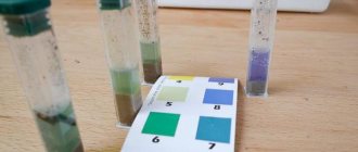 How to determine the acidity of the soil yourself