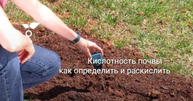 How to determine the acidity of the soil at home on your own