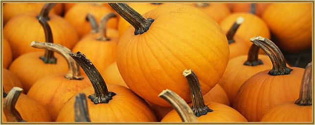 how to determine the ripeness of a pumpkin