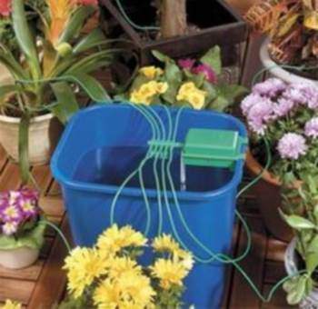 how to organize watering flowers while on vacation with your own hands
