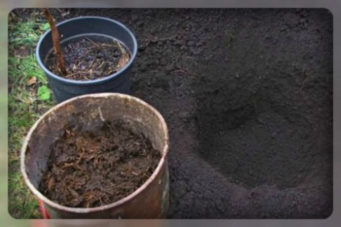 كيفية تحضير التربة بشكل صحيح