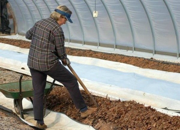 Как да подготвим почвата за засаждане на домати