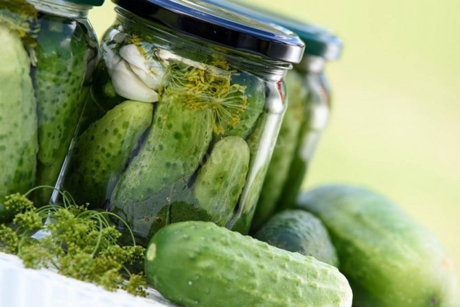 Hur man får krispiga, fylliga pickles