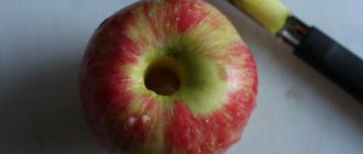 cara mengeringkan epal di rumah