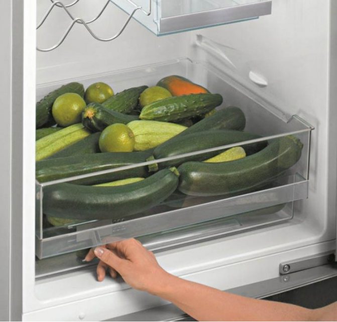 How to properly store zucchini in the refrigerator