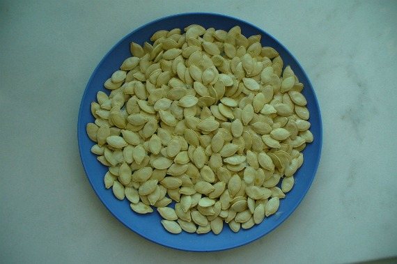Cum să colectați și să pregătiți corect semințele de dovlecei
