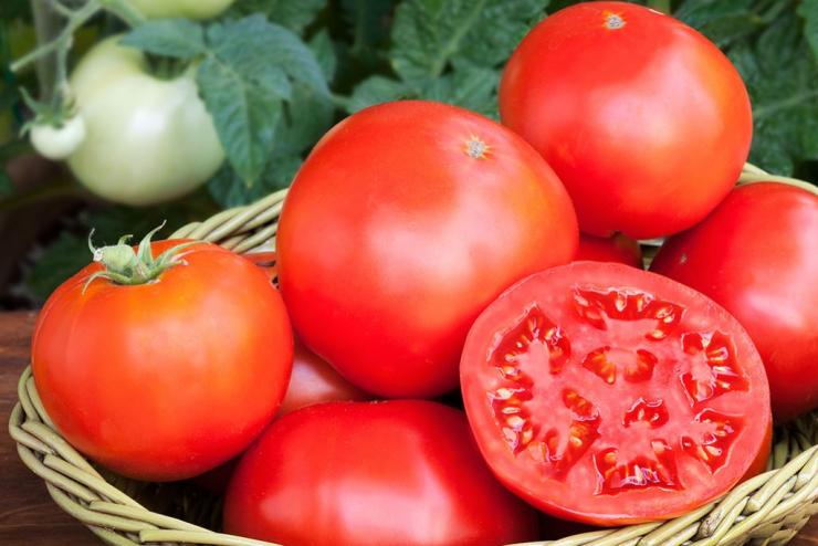 Hur man samlar tomatfrön ordentligt hemma
