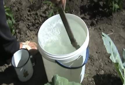 how to prepare a 3% urea solution for watering a plant