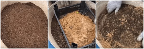 كيفية تحضير التربة بيديك