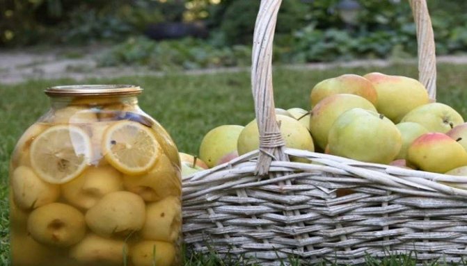 Как да си направим ябълков компот за зимата без стерилизация