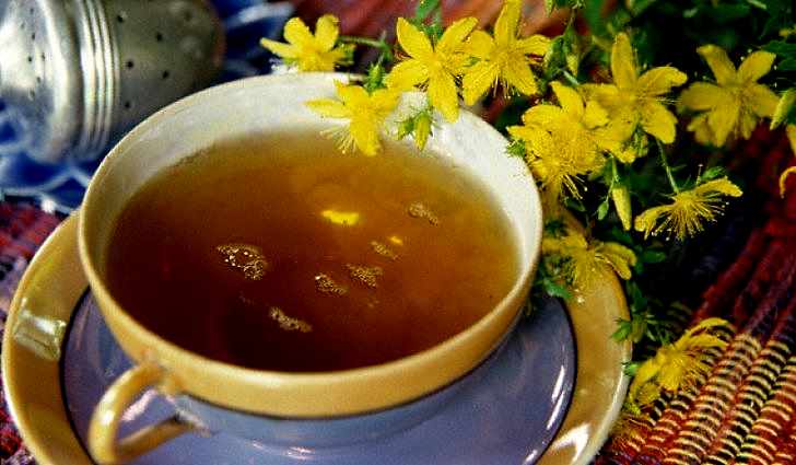 How to prepare an infusion of St. John's wort