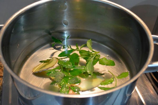 How to make stevia (extract, syrup)