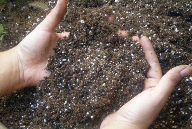 كيفية إزالة الأكسجين من التربة في الخريف ، ما يعني استخدامها
