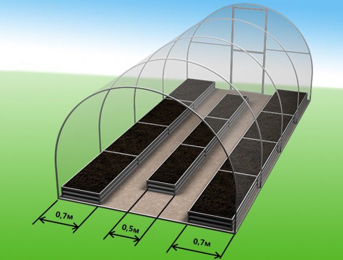 How to arrange the beds in the greenhouse