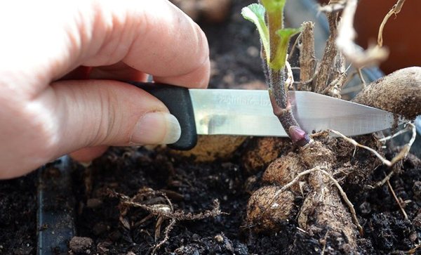 How to propagate