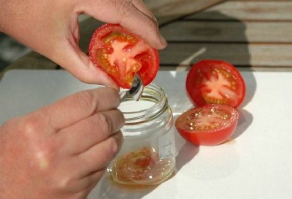 How to get tomato seeds yourself