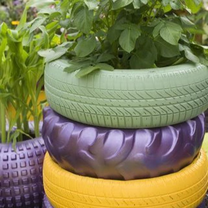 Как да направите цветно легло от гуми със собствените си ръце. Съвети и снимки