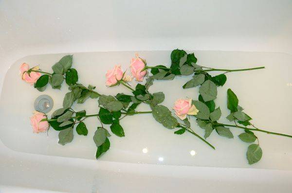 Jak udržet květiny ve váze déle než růže