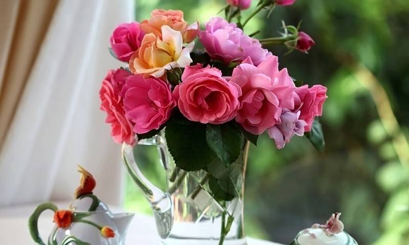 Cum să păstrezi florile într-o vază mai mult decât un trandafir