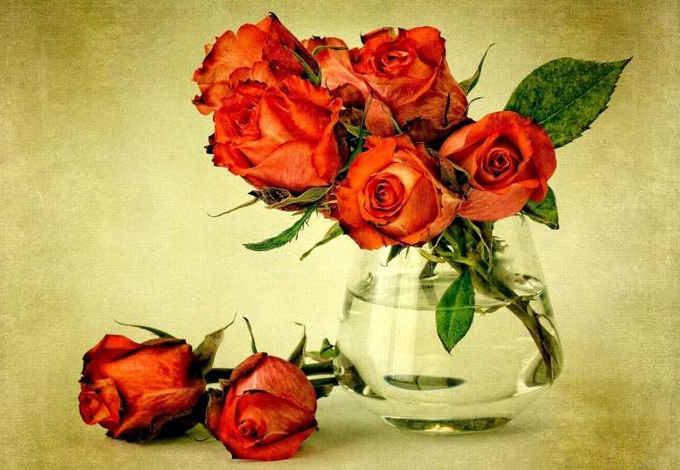 Как да запазите цветя във ваза по-дълго от роза