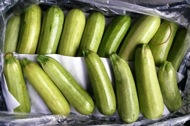Hur man håller zucchini hemma på vintern