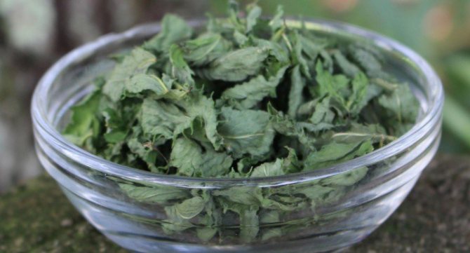 How to keep mint leaves fresh for the winter