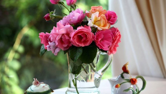 hur man bevarar rosor hur man bevarar donerade buketter längre