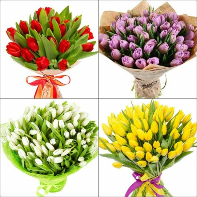 Paano mapanatili ang mga tulip sa isang vase: mga paraan upang panatilihing buhay ang mga putol na bulaklak