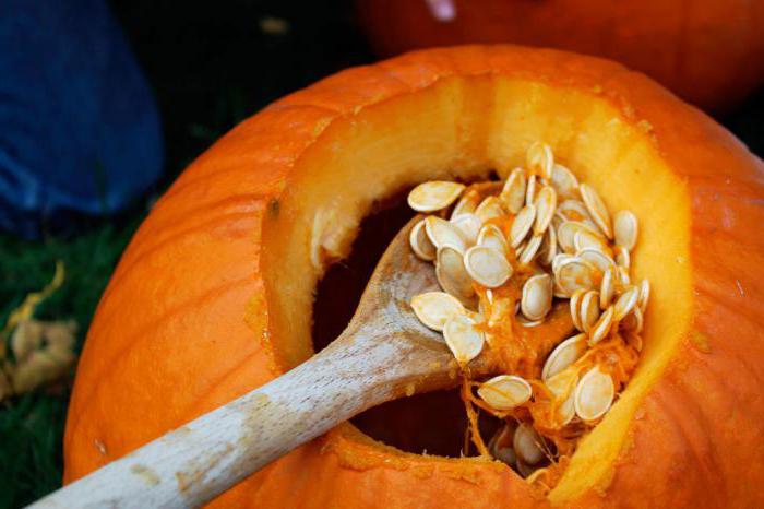 how to dry pumpkin seeds