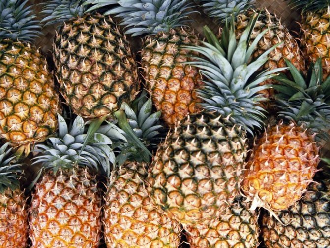 как да изкорени върха на ананас