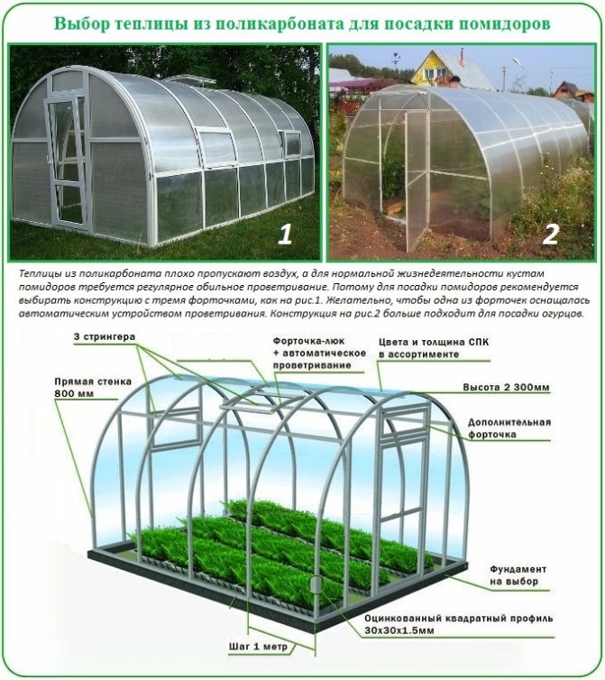 Hur man väljer ett växthus i polykarbonat för plantering och odling av tomater