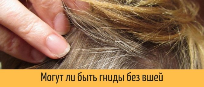 How to comb out dead nits