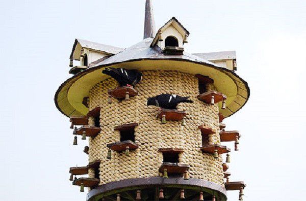 What does a tower dovecote look like?