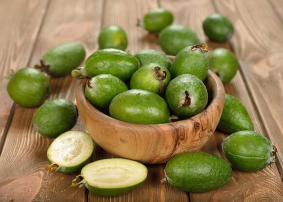 what does feijoa look like
