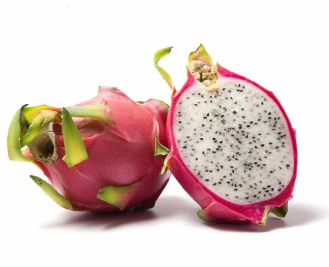 how to grow dragon fruit at home