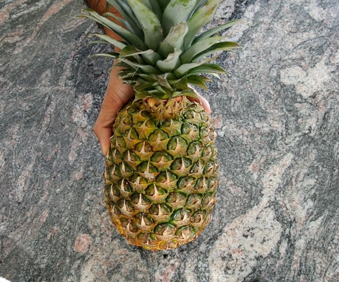 How to grow pineapple from the top at home photo and video