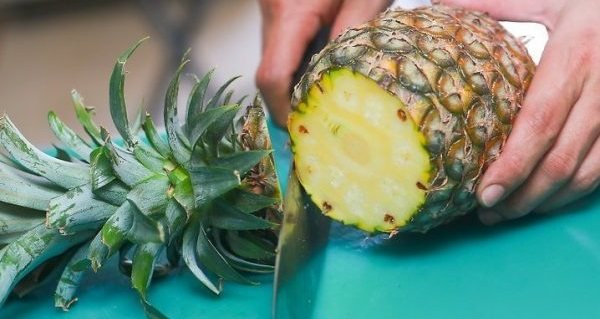 how to grow pineapple from the top