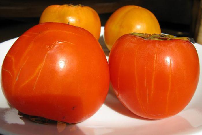 how to grow persimmon from seeds