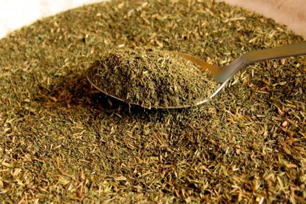 How to prepare stevia herb at home