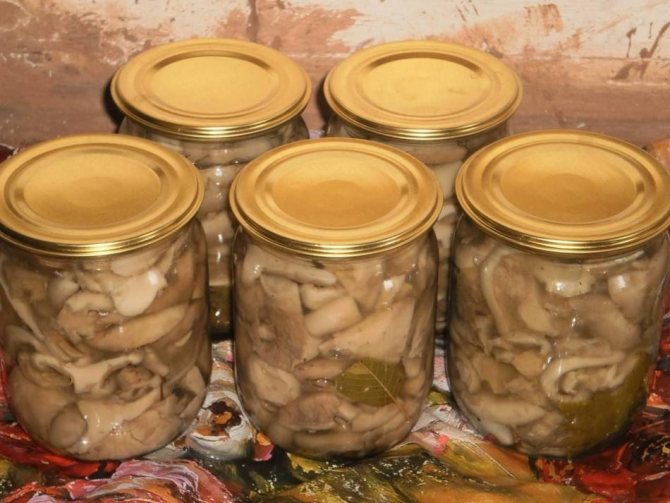 Hur man marinerar mjölksvampar utsökt i glasburkar för vintern: ett recept på marinad för 1 liter vatten