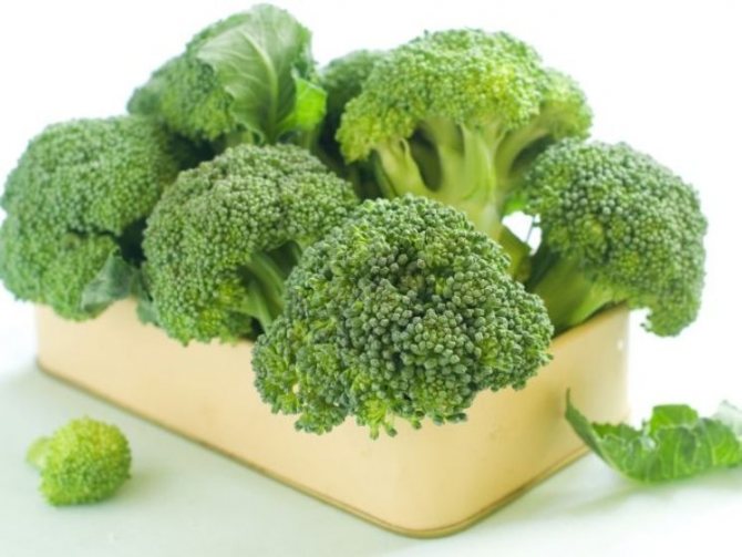 Hur man fryser broccoli för vintern: förberedelse, urval och frysning