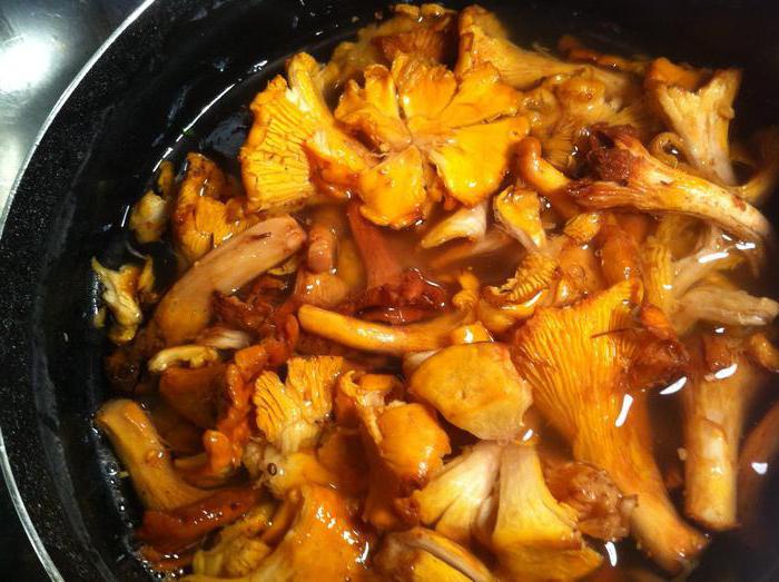 how to freeze chanterelle mushrooms for the winter