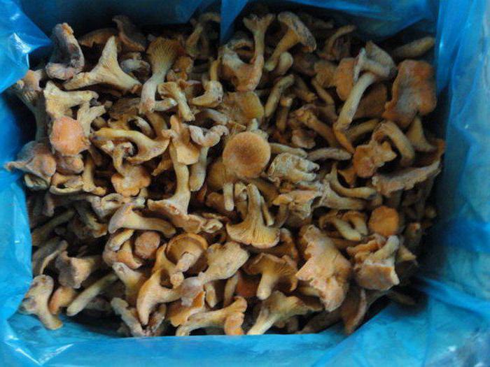 how to freeze chanterelles for the winter recipes