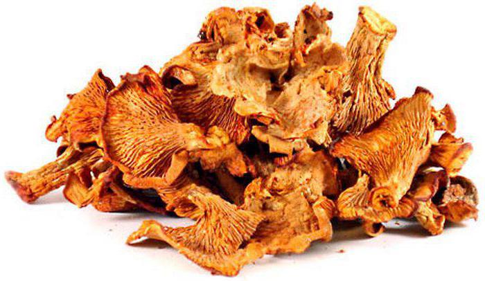 how to freeze chanterelles for the winter