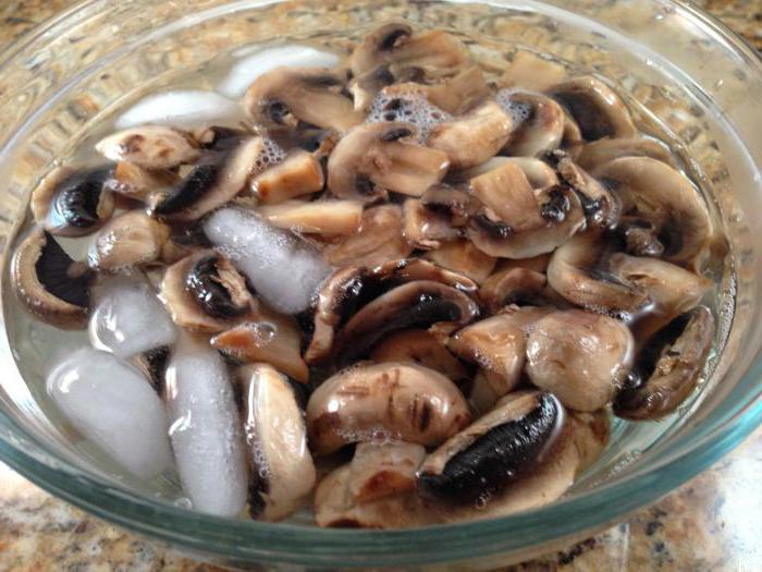 ] cum să congelați ciupercile proaspete pentru iarnă