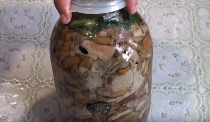 Cum să murăm ciupercile pentru iarnă în borcane