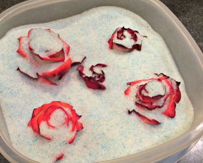 hur man torkar en ros i kiselgel