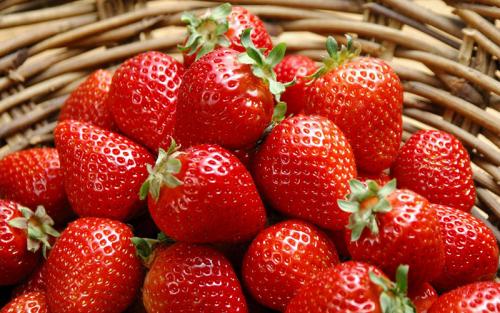 Welche Erdbeere ist besser remontant oder regelmäßig. Einfache Erdbeere oder Remontant - was ist besser?